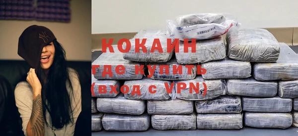 шишки Бронницы