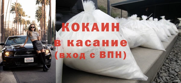 шишки Бронницы